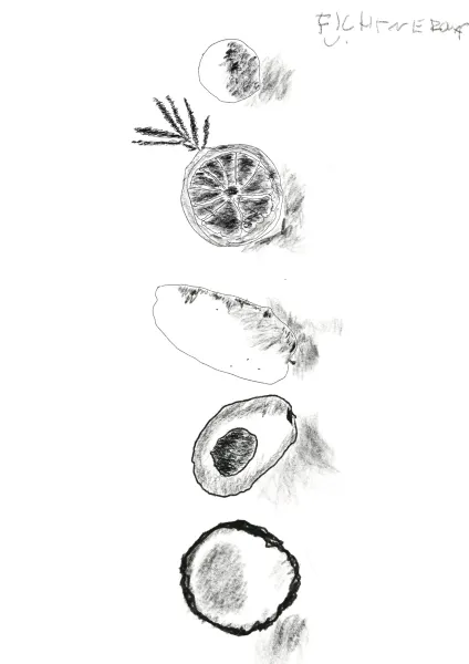 Skica kurz on-line od draw planet ilustrace v procreate 2025